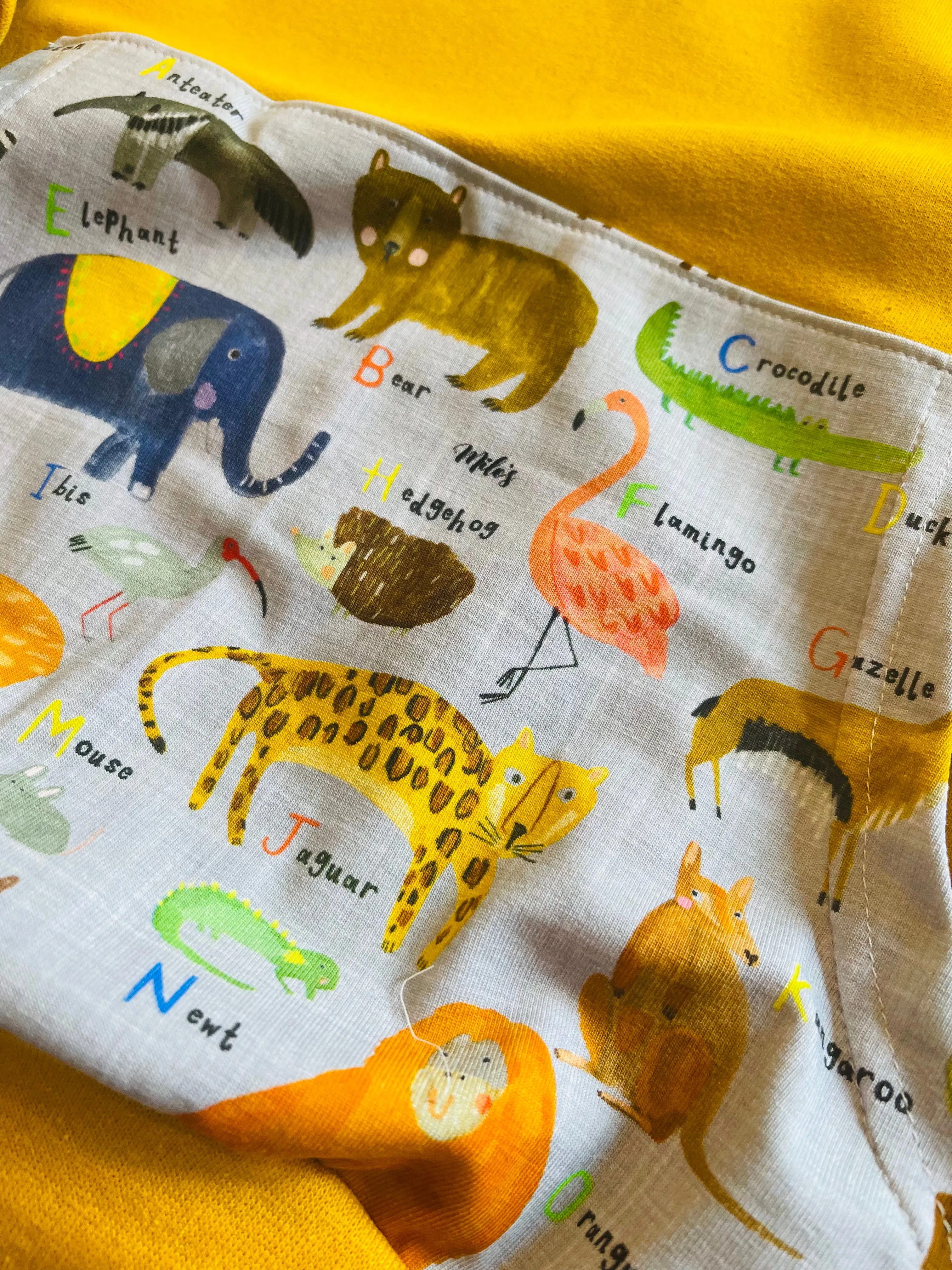 Alphazoo Hoodie - Age 9