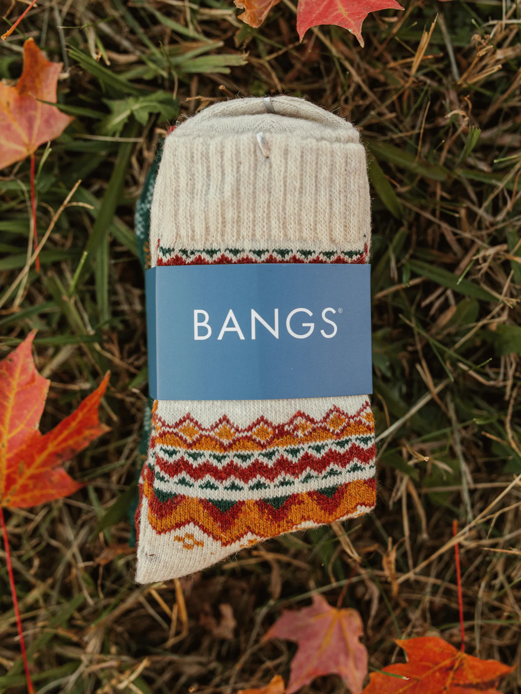 Autumn Sock Bundle