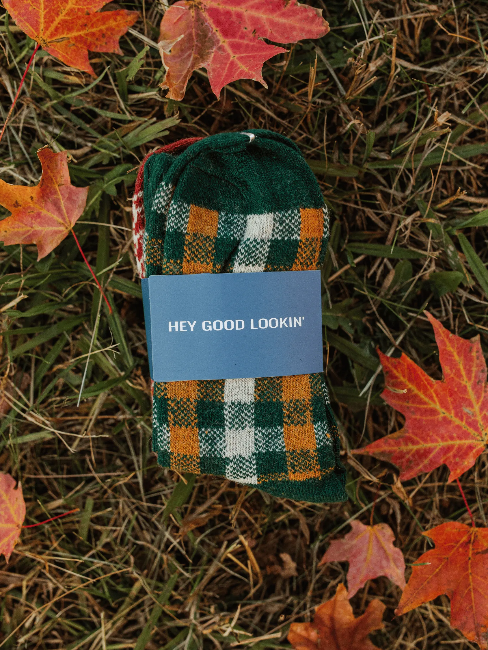 Autumn Sock Bundle