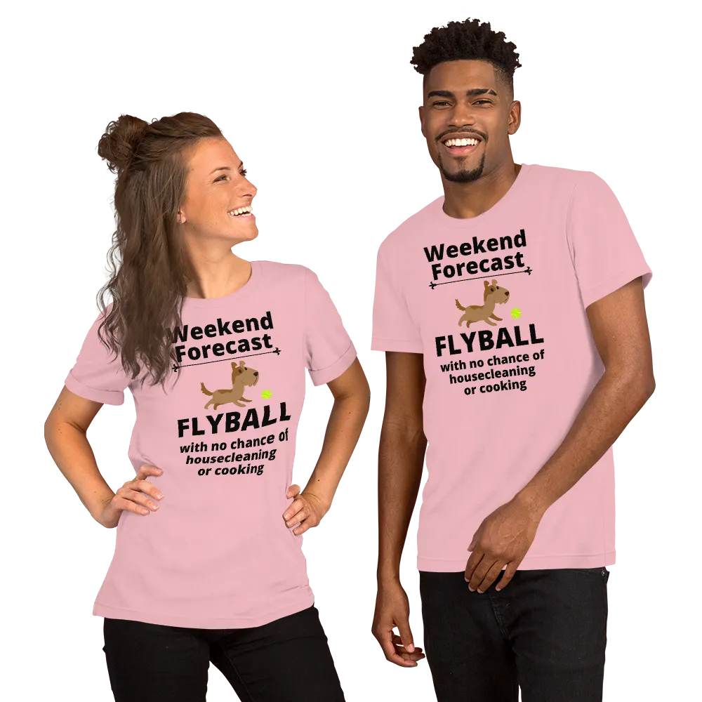 Flyball Weekend Forecast T-Shirts - Light