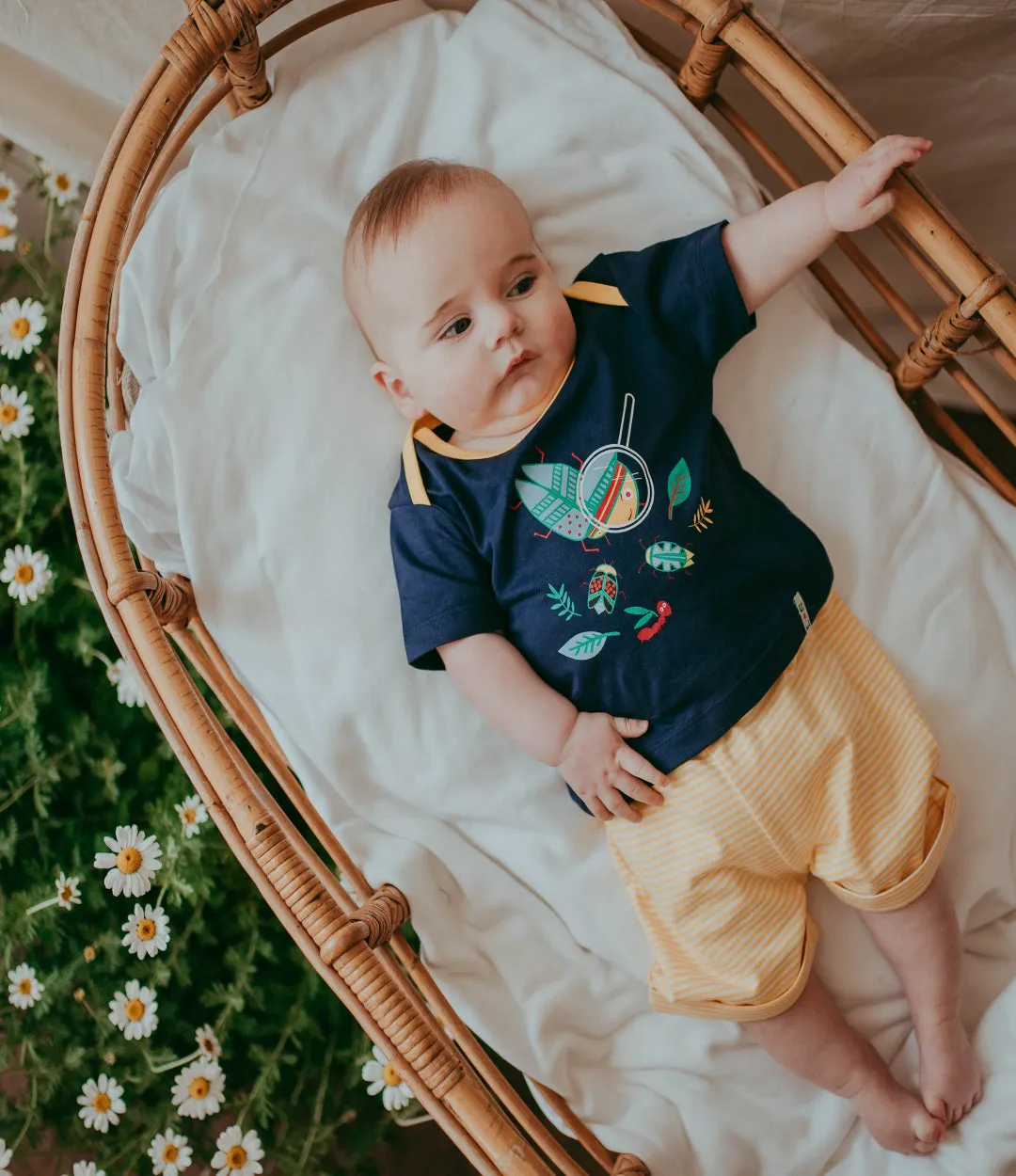 Multicoloured Bugs Print Top and Short Set