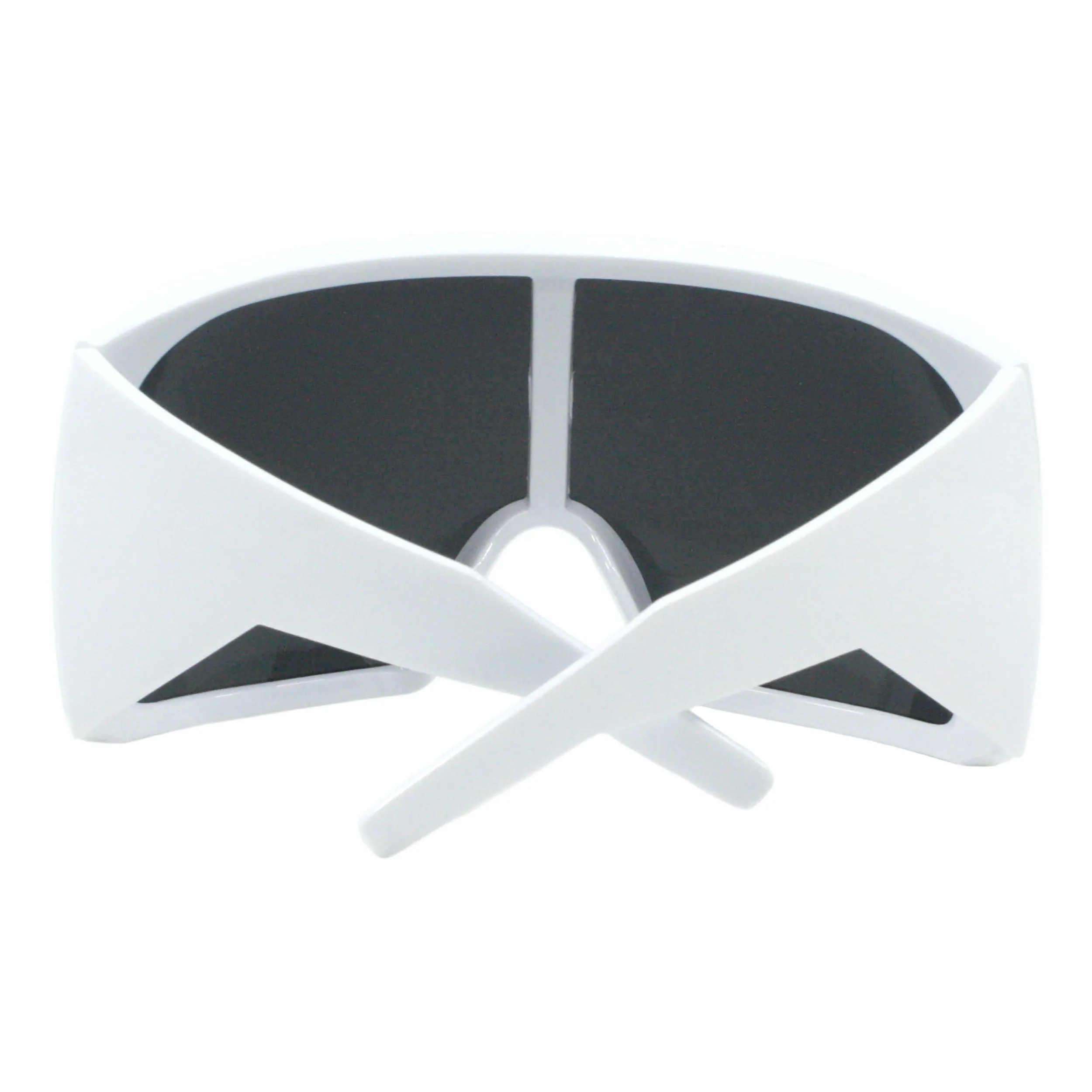 PASTL Goggle Sunglasses