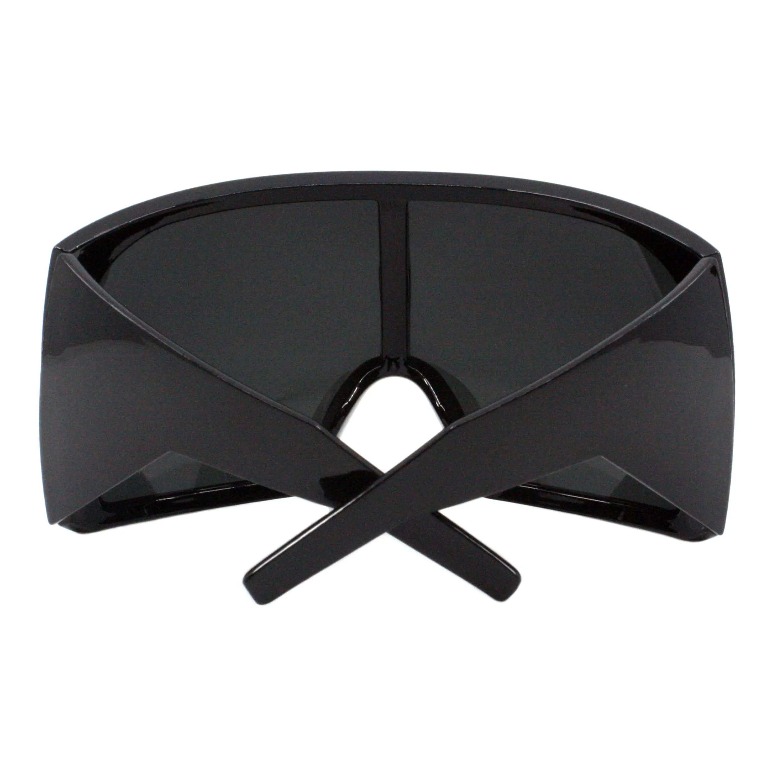 PASTL Goggle Sunglasses
