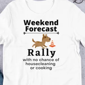 Rally Weekend Forecast T-Shirts - Light