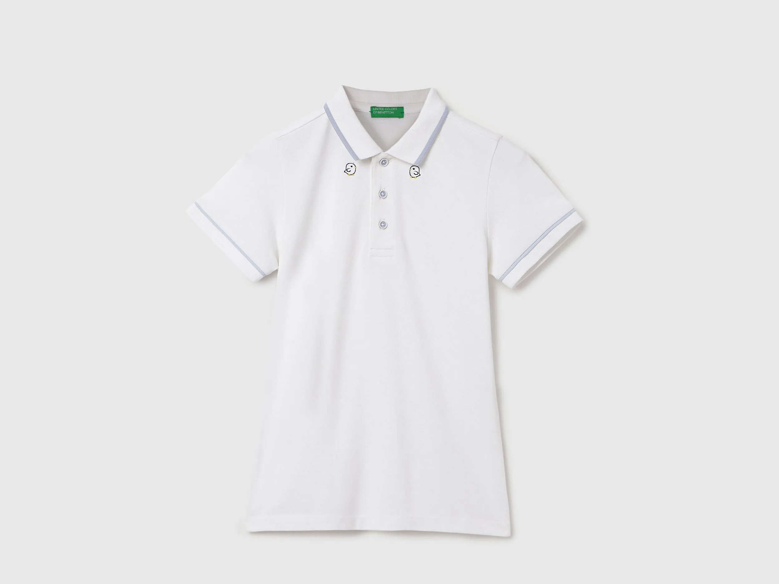 Regular Fit Polo Neck Solid T-Shirts